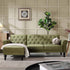 files/AYSF-012-MOSSGREEN-VEL_scene1.jpg