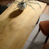 files/BSD-002-OAK_scene3.jpg