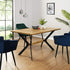 files/BSD-024-OAK_scene1.jpg