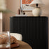 files/BSD-172-BLACK_scene3.jpg