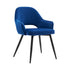 files/DCH-2117-BLUE-VEL_WB1.jpg
