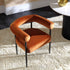 files/DCH-2162-RUST-VEL-BLACK_scene2.jpg