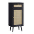 files/FT-BAC-01-BLACK_WB2.jpg