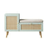 files/FT-BENCH-01-SAGE_WB1.jpg