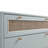 files/FT-COD-001-SAGE_detail1.jpg