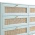 files/FT-COD-002-SAGE_detail1.jpg