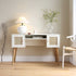 files/FT-DSK-01-WHITE_scene1.jpg