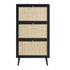 files/FT-SHC-01-BLACK_WB1.jpg