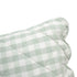 files/HW-PCASE-CONT-MATILDA-GINGHAM-GRN_detail1.jpg