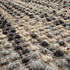 files/KI-KANSAS-RUG_detail3.jpg