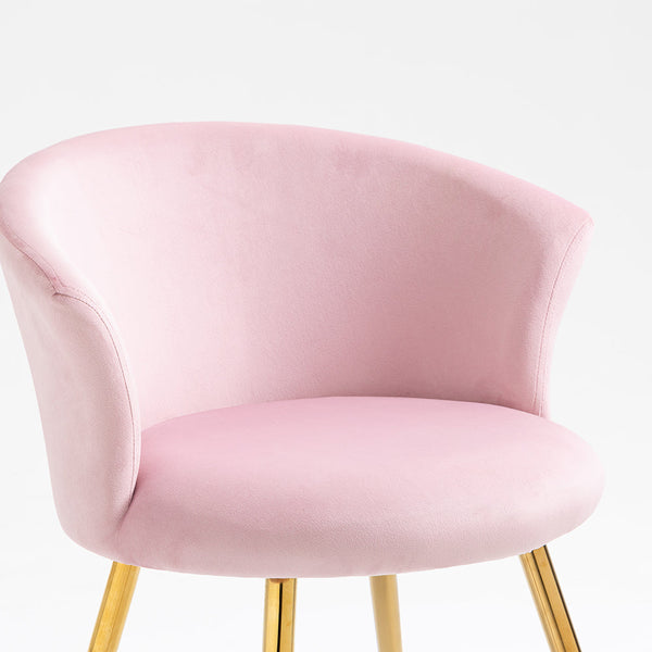 Kylie Set of 2 Pink Velvet Dining Chairs