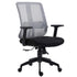 Grey Mesh Medium Back Executive Office Chair Swivel Desk Chair with Synchro-Tilt, Adjustable Armrests - daals