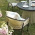 files/OD-DINE-2202-BLACK-OAT-SET_scene3.jpg