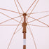 files/OD-PRSL-02-PINKSTRP_detail2.jpg