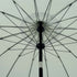 files/OD-PRSL-16-SAGE_detail3.jpg