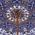 files/OD-PRSL-33-BLUEFLOWER_detail3.jpg