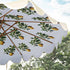 files/OD-PRSL-38-LEMON_scene2.jpg