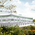 files/OD-PRSL-42-GREENSTRIPE_scene1.jpg