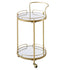 files/TRLY-357-GOLD_WB3.jpg